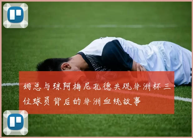 姆总与琼阿梅尼孔德共观非洲杯三位球员背后的非洲血统故事