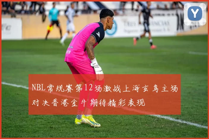 NBL常规赛第12场激战上海玄鸟主场对决香港金牛期待精彩表现