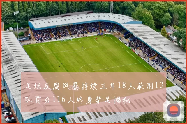 足坛反腐风暴持续三年18人获刑13队罚分116人终身禁足揭秘